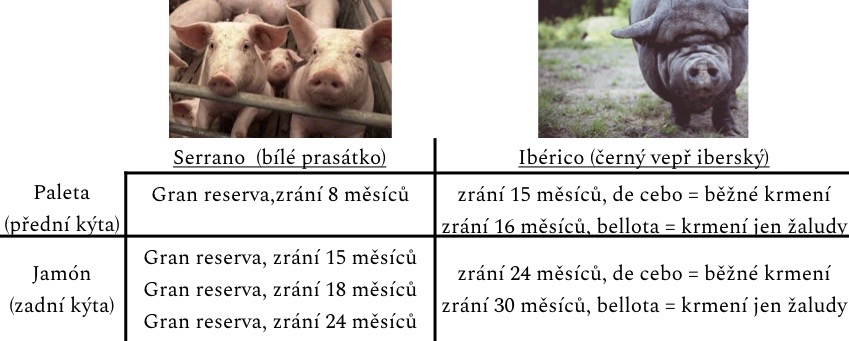 Dělení Jamónu.001.jpeg.001